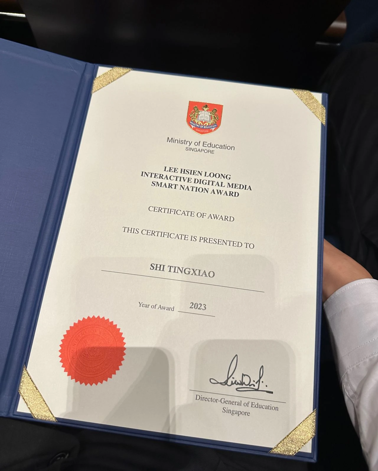  Lee Hsien Loong Interactive Digital Media Smart Nation Award